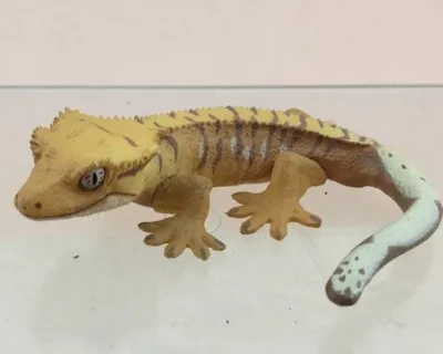 toy gecko figurine