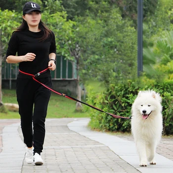 Two modes of use Dogs Leash Elasticity Freely Running Pet Products Dogs Harness Jogging Lead and Adjustable Waist Rope be pulled
Two modes of use Dogs Leash Elasticity Freely Running Pet Products Dogs Harness Jogging Lead and Adjustable Waist Rope be pulled