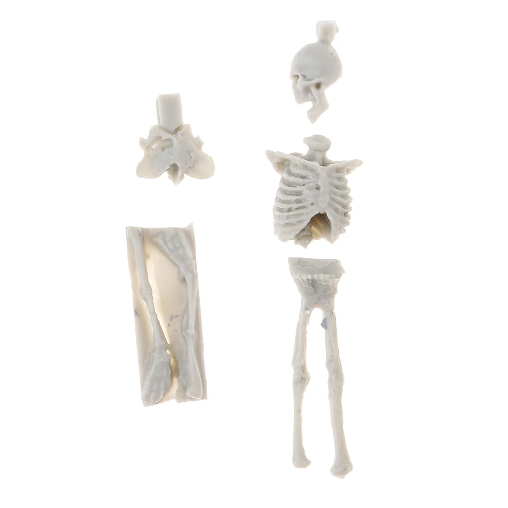 4Pcs 1:35 Scale Unpainted Unassemble Resin Skull Skeleton Model for Sand Table Armor Landcsape Diorama Building Toys