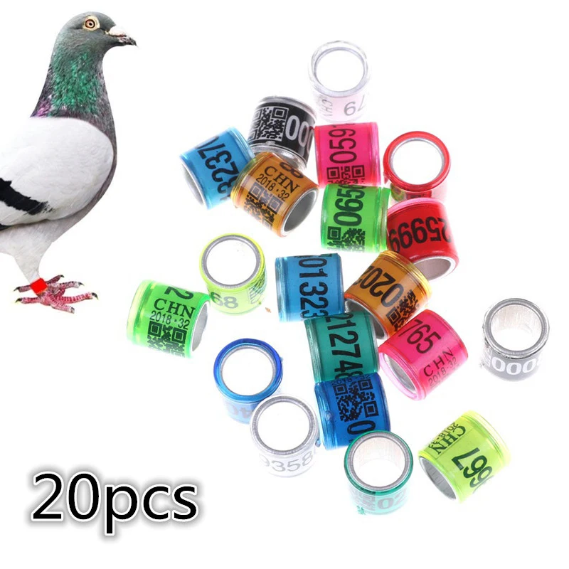 Фото 20 шт. 8 мм пластиковые кольца для голубей  Дом и | Bird Foot Rings (1005003074779346)