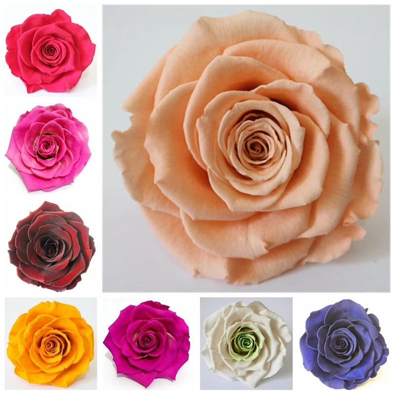 Rare Exotic 400 Pcs Rose Plants Rainbow Roses Bonsai Flowers Perennial Garden Rosa Jardim Ornament Planta Easy to Grow
Rare Exotic 400 Pcs Rose Plants Rainbow Roses Bonsai Flowers Perennial Garden Rosa Jardim Ornament Planta Easy to Grow