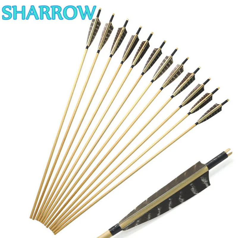 6/12Pcs 31" Archery Handmade Wooden Arrows 5" Turkey Feather Arrows DIY Tools For Arrow Outdoor Training Shooting Accessories
6/12Pcs 31" Archery Handmade Wooden Arrows 5" Turkey Feather Arrows DIY Tools For Arrow Outdoor Training Shooting Accessories