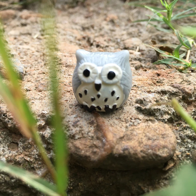 Mini Cute Owl Fairy Garden Miniatures Garden Ornament Decoration Micro Landscape Succulent Plants Decoration Small Fresh Garden
Mini Cute Owl Fairy Garden Miniatures Garden Ornament Decoration Micro Landscape Succulent Plants Decoration Small Fresh Garden