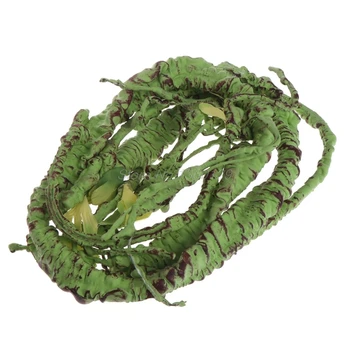 Artificial Rattan Reptile Box Case Decoration Lizard Green Plants Jungle Habitat Dropship
Artificial Rattan Reptile Box Case Decoration Lizard Green Plants Jungle Habitat Dropship