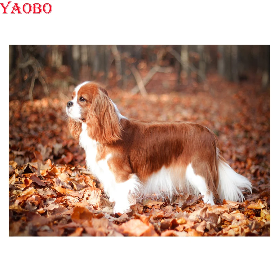 Diamond Mosaic Animals Full Square Drill Decoration Home 5D DIY Embroidery Diamond Painting Cavalier King Charles Spaniel
Diamond Mosaic Animals Full Square Drill Decoration Home 5D DIY Embroidery Diamond Painting Cavalier King Charles Spaniel