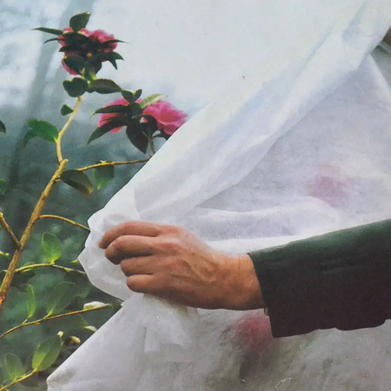 New Non-woven Fabric 2x5m Insect Organic Net Garden Greenhouse Frosty Cover Crop Fruit Tree Flower Plant Pond Protective Cover
New Non-woven Fabric 2x5m Insect Organic Net Garden Greenhouse Frosty Cover Crop Fruit Tree Flower Plant Pond Protective Cover