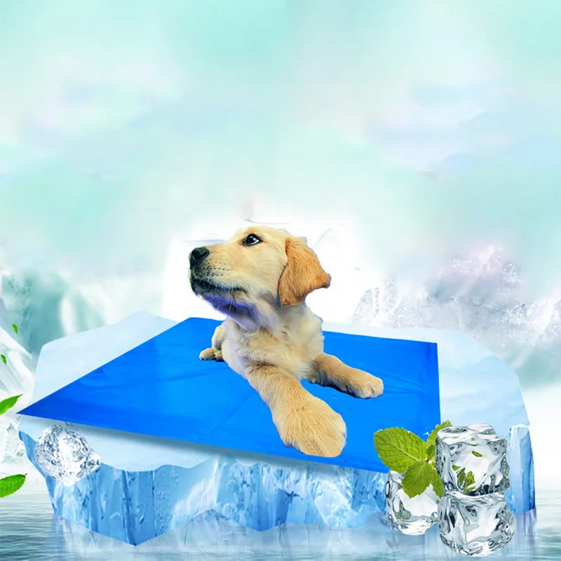 Dozzlor Dog Pet Bed Cooler Mat Pad Cool Gel Non Toxic Pet Cooling Pad Cushion Summer Cooling Bed Mat Soft Cool Dog House Mat
Dozzlor Dog Pet Bed Cooler Mat Pad Cool Gel Non Toxic Pet Cooling Pad Cushion Summer Cooling Bed Mat Soft Cool Dog House Mat