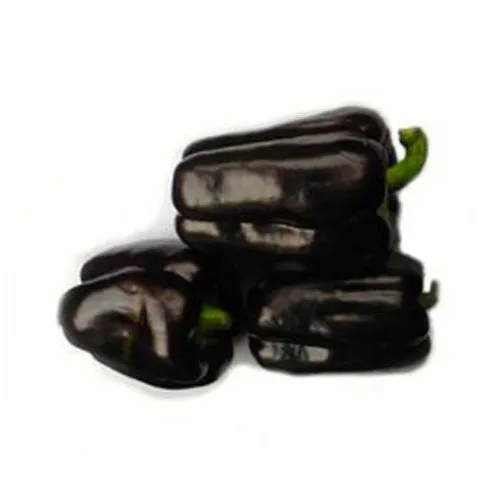 Loss Promotion!Black Sweet Pepper bonsai Balcony Potted Organic Vegetable garden Chili Pepper plant 100 PCS/Pack,#DRWC9P 
Loss Promotion!Black Sweet Pepper bonsai Balcony Potted Organic Vegetable garden Chili Pepper plant 100 PCS/Pack,#DRWC9P