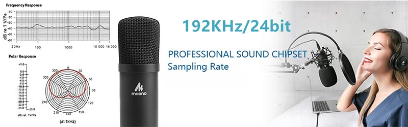 studio microphone 12