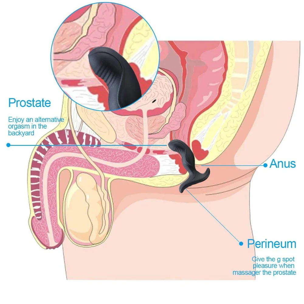 Анальные Вибраторы Для Массажа Простаты