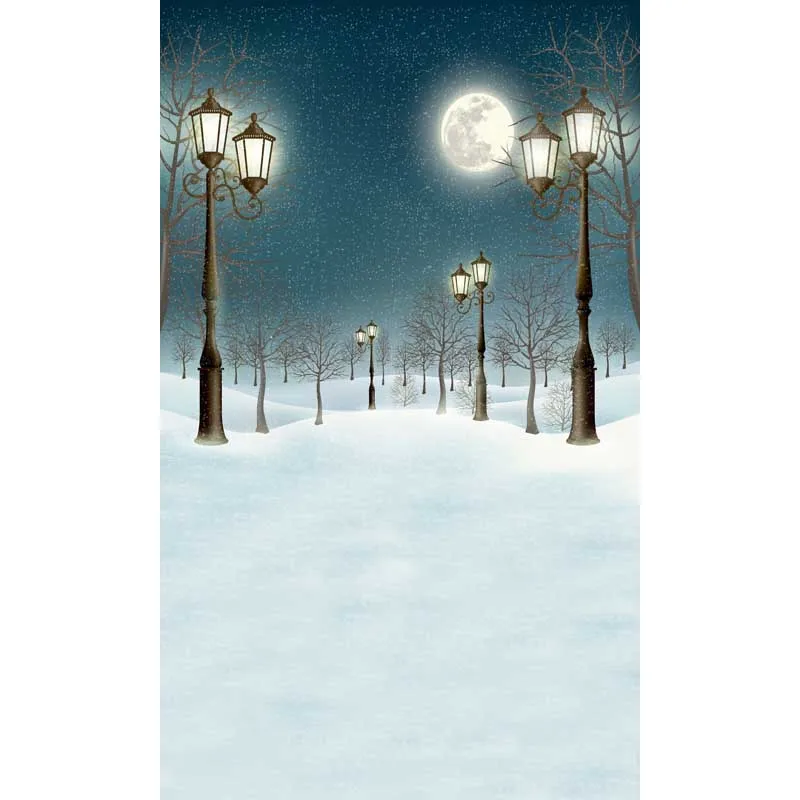 Christmas backdrops Customized computer Printed vinyl photography background for photo studio st-328
Christmas backdrops Customized computer Printed vinyl photography background for photo studio st-328