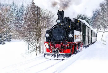 MEHOFOTO Polar Express train winter snow backdrop High quality Computer print Christmas children photo studio background
MEHOFOTO Polar Express train winter snow backdrop High quality Computer print Christmas children photo studio background
