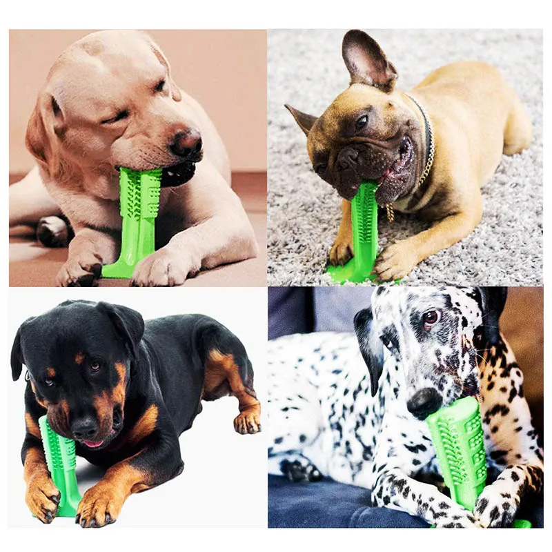 Dog Chew Toys Dogs Toothbrush Pet Molar Tooth Cleaner Brushing Stick Doggy Puppy Dental Care Dog Pet Cats Toys
Dog Chew Toys Dogs Toothbrush Pet Molar Tooth Cleaner Brushing Stick Doggy Puppy Dental Care Dog Pet Cats Toys