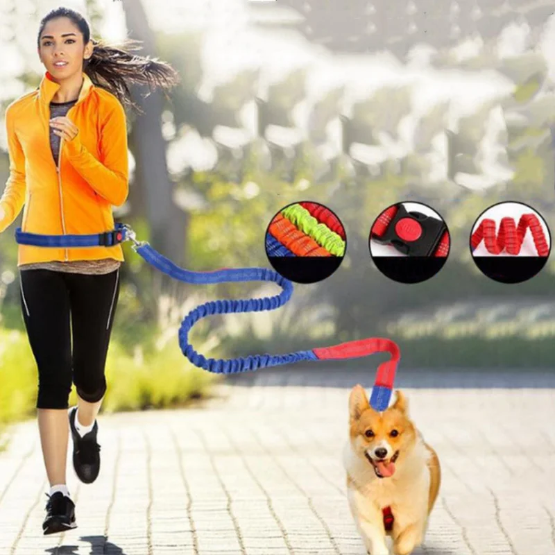 Pet Dog Leash Elastic Nylon Adjustable Waist Dog Leash for Joging Running LBShipping
Pet Dog Leash Elastic Nylon Adjustable Waist Dog Leash for Joging Running LBShipping