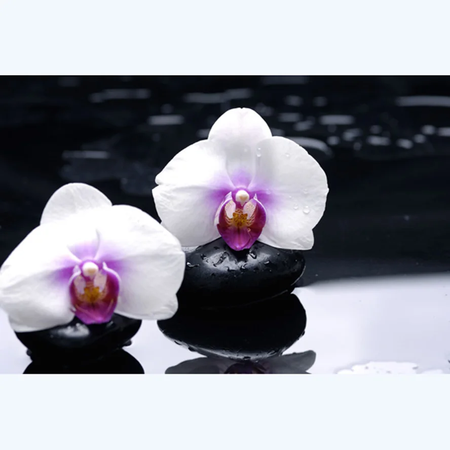 Orchid & Zen 5D Diy Diamond Embroidery Diamond Painting Cross Stitch Full Square/round Drill Household Adornment Picture ZC002
Orchid & Zen 5D Diy Diamond Embroidery Diamond Painting Cross Stitch Full Square/round Drill Household Adornment Picture ZC002