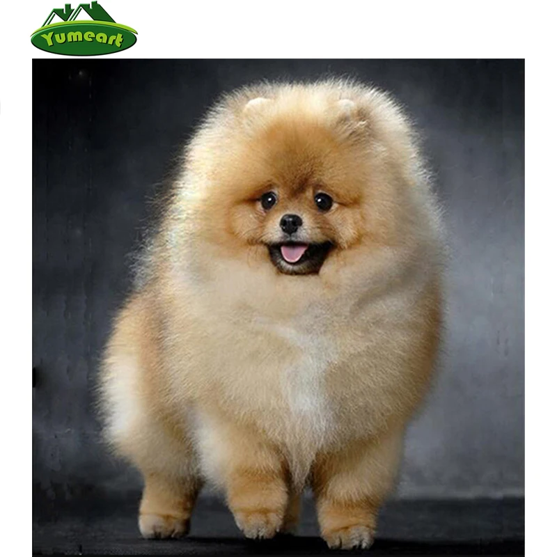 Diamond Painting Dog 5D DIY Diamond Embroidery Pomeranian 5D Round Mosaic Full Pictures By Numbers Rhinestones Gray Puppy
Diamond Painting Dog 5D DIY Diamond Embroidery Pomeranian 5D Round Mosaic Full Pictures By Numbers Rhinestones Gray Puppy