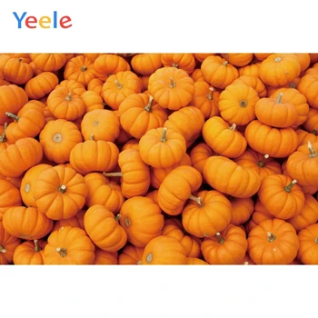 Yeele Pumpkin Orange Harvest Autumn Portrait Photography Background Customized Photographic Backdrops for Photo Studio 
Yeele Pumpkin Orange Harvest Autumn Portrait Photography Background Customized Photographic Backdrops for Photo Studio