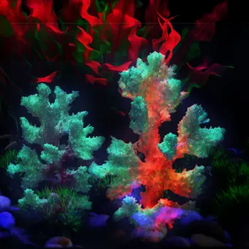 Exquisite FFish Tank Decoration Emulation Corals Aquarium Noctilucent Sea Coral Fish & Aquatic Pet Supplies Decorate
Exquisite FFish Tank Decoration Emulation Corals Aquarium Noctilucent Sea Coral Fish & Aquatic Pet Supplies Decorate