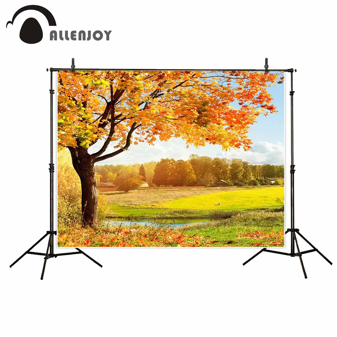 Allenjoy photographic background Autumn leaves Wonderland beautiful natural Photographic background for study Photo background
Allenjoy photographic background Autumn leaves Wonderland beautiful natural Photographic background for study Photo background
