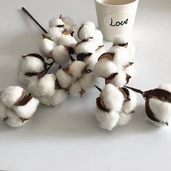 12 Head Cotton Long Branch Simulation Cotton Tree Branch Home Wedding Decor Artificial Flowers Flone Dried Flower Cotton Branch
12 Head Cotton Long Branch Simulation Cotton Tree Branch Home Wedding Decor Artificial Flowers Flone Dried Flower Cotton Branch