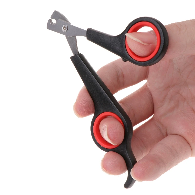 Pet Dog Nail Clippers Cat Claw Trimmer Grooming Scissors Cutter Toenail Supplies For Puppies Cachorro Kitty Claw Clippers
Pet Dog Nail Clippers Cat Claw Trimmer Grooming Scissors Cutter Toenail Supplies For Puppies Cachorro Kitty Claw Clippers