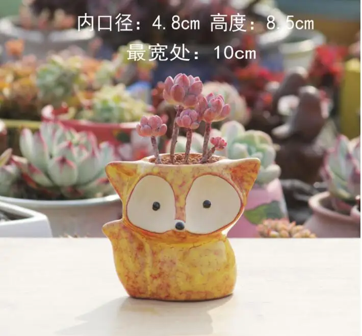 Succulent Plants Planter VASE Novelty personality Flower Pot Desktop Potted Scandinavian EU Home Garden Decoration Plants Holder
Succulent Plants Planter VASE Novelty personality Flower Pot Desktop Potted Scandinavian EU Home Garden Decoration Plants Holder