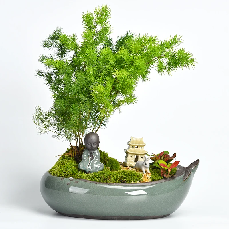 Creative office home green plants pot ceramic bonsai flower pot wholesale Personality succulent pots clearance
Creative office home green plants pot ceramic bonsai flower pot wholesale Personality succulent pots clearance