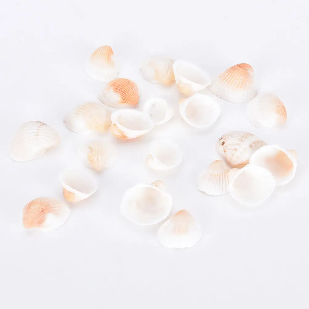20pcs/set New Arrival Mixed Mediterranean Style Shells Sea Shells Beach Seashells natural Craft For Home Decor
20pcs/set New Arrival Mixed Mediterranean Style Shells Sea Shells Beach Seashells natural Craft For Home Decor