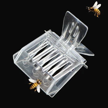 

10pcs Clip type rearing plastic catcher cell queen cage bee box king isolation room insectary bees tools cages beekeeping cup