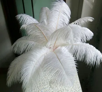 Manufacturers sell 100 pcs high quality White ostrich feathers 24-26 inch 60-65 cm Wedding decoration
Manufacturers sell 100 pcs high quality White ostrich feathers 24-26 inch 60-65 cm Wedding decoration