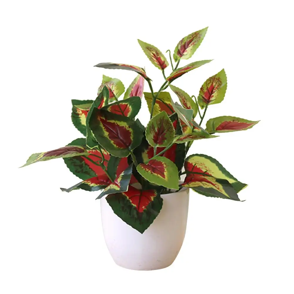 Fresh Plastic Artificial Plants with Pot Artificial Bonsai Potted Plant Ornament Artificial Foliage Plant for Home Decor
Fresh Plastic Artificial Plants with Pot Artificial Bonsai Potted Plant Ornament Artificial Foliage Plant for Home Decor