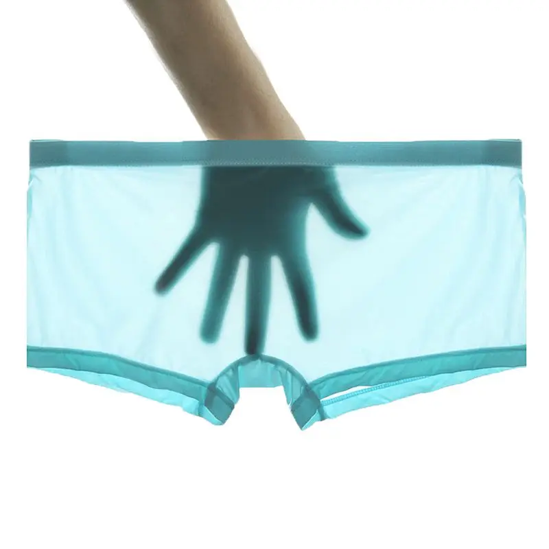 2 PCS Men/'s Sheer Lace Briefs Transparent Underwear Shorts Trunks Underpants