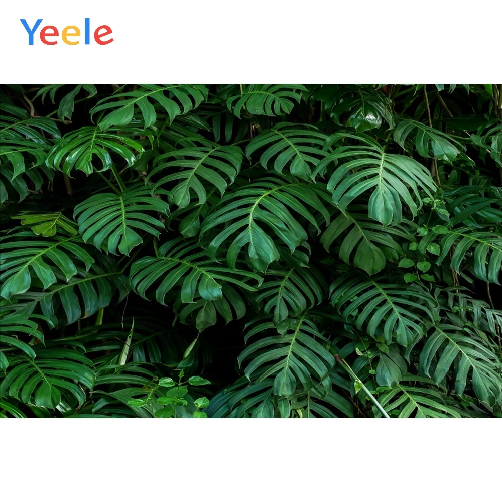 Фоны Yeele для фотосъемки с изображением тропических листьев джунглей и растений |