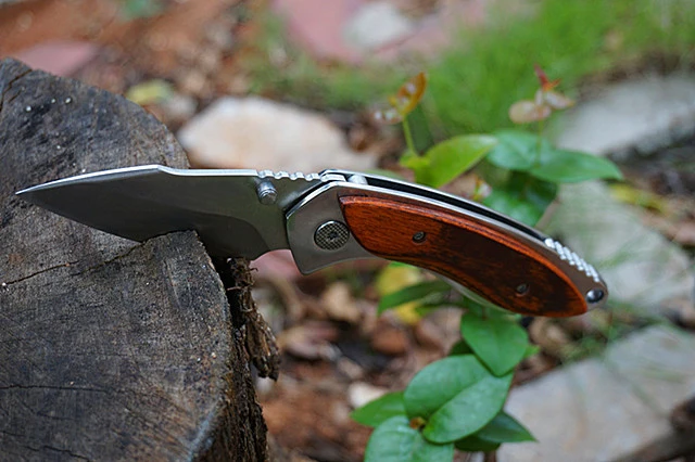 2379038145_742635196