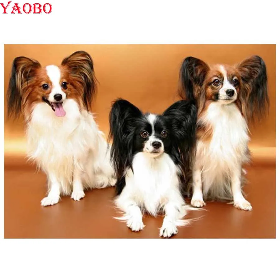 5D DIY Diamond Painting Papillon dog Small pets Diamond Embroidery Full Mosaic Cross Stitch Rhinestone Wall sticker decor
5D DIY Diamond Painting Papillon dog Small pets Diamond Embroidery Full Mosaic Cross Stitch Rhinestone Wall sticker decor