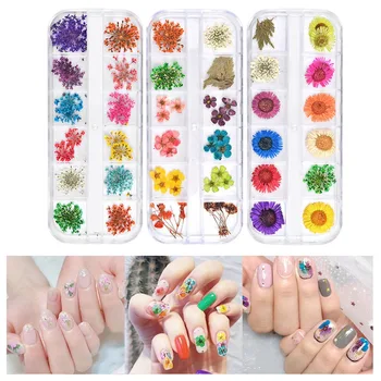 Anmas Rucci 24PCS Dried Flowers Leaf Nail Decoration 3D Dry Beauty Nail Art Decals Jewelry Tips UV Gel Polish Manicure
Anmas Rucci 24PCS Dried Flowers Leaf Nail Decoration 3D Dry Beauty Nail Art Decals Jewelry Tips UV Gel Polish Manicure