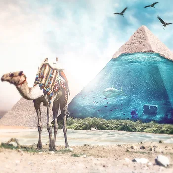 CAMMITEVER Diamond Painting 5D DIY Diamond Embroidery Cross Stitch Full Round Diamond Mosaic Desert Camel
CAMMITEVER Diamond Painting 5D DIY Diamond Embroidery Cross Stitch Full Round Diamond Mosaic Desert Camel