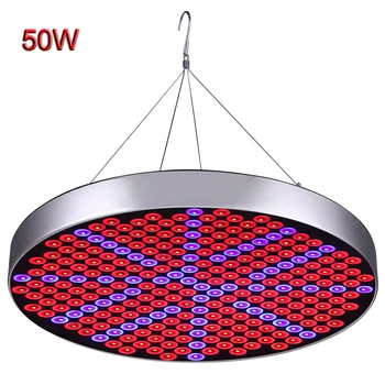 50W LED Grow Lights Indoor Plants Growing Light with Red Blue Spectrum Hydroponics Plant for Germination Vegetative&Flowering
50W LED Grow Lights Indoor Plants Growing Light with Red Blue Spectrum Hydroponics Plant for Germination Vegetative&Flowering