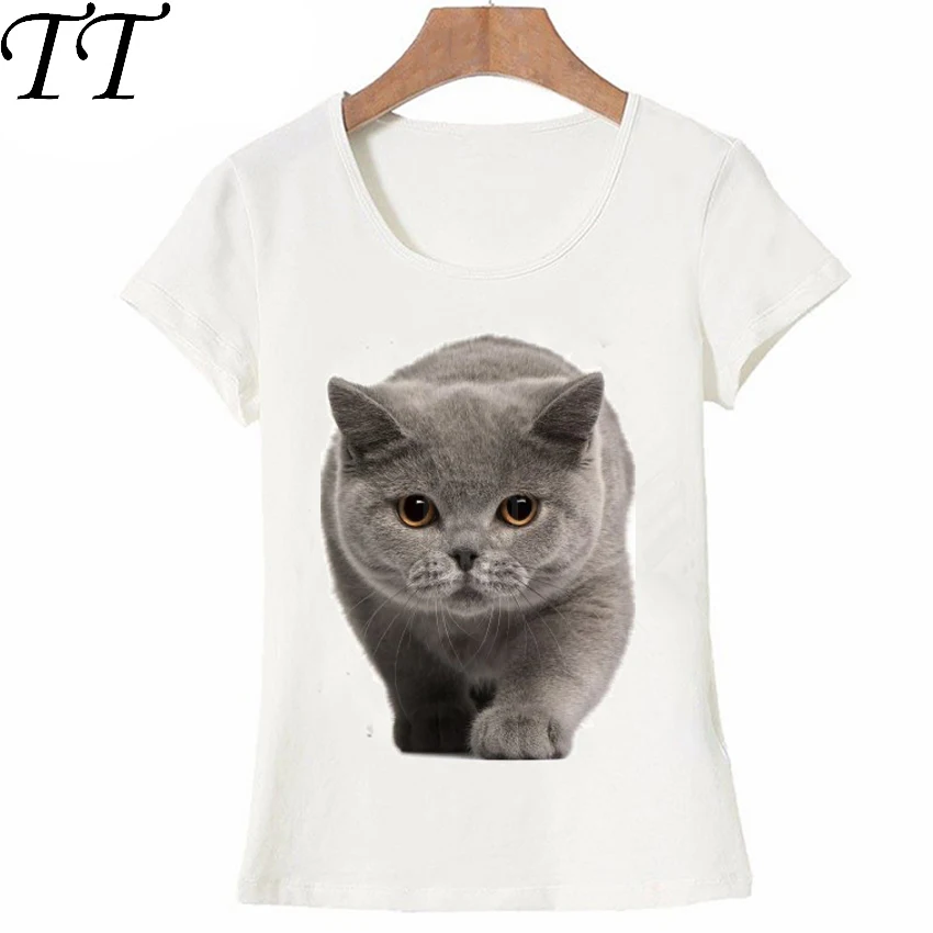 Cute British shorthair cat T-Shirt Summer Women Girl Friend Gift t-shirt felinae Printed T Shirt Harajuku Tops funny female Tee
Cute British shorthair cat T-Shirt Summer Women Girl Friend Gift t-shirt felinae Printed T Shirt Harajuku Tops funny female Tee