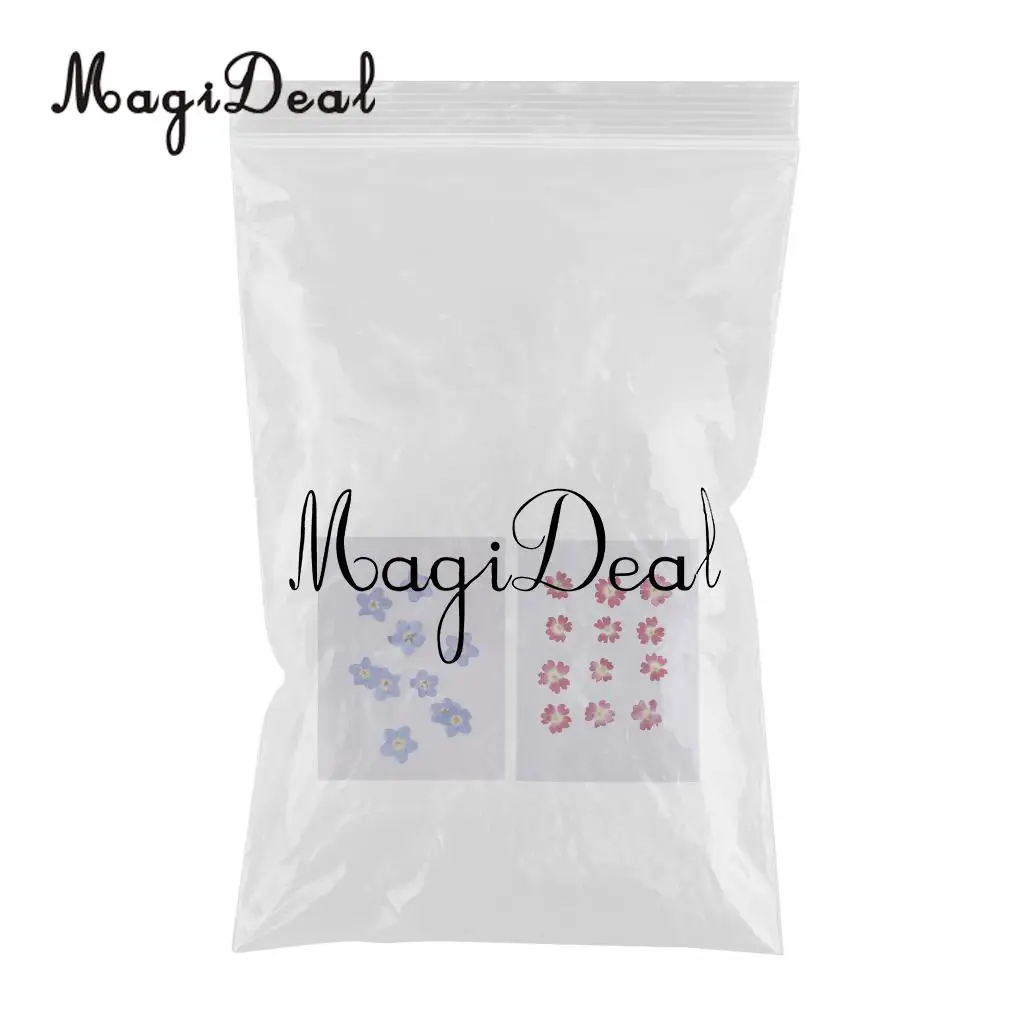 22pcs Mini Natural Dried Flowers Verbena Forget-me-not Embellishment for DIY Pendants Charms Nail Art Decoration