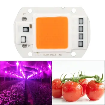 LED Lamp 50w Panel Led verlichting Grow Lamp Light Full Spectrum Warm/White Led COB Chip Growth Lamp Garden Hydroponic Plant
LED Lamp 50w Panel Led verlichting Grow Lamp Light Full Spectrum Warm/White Led COB Chip Growth Lamp Garden Hydroponic Plant