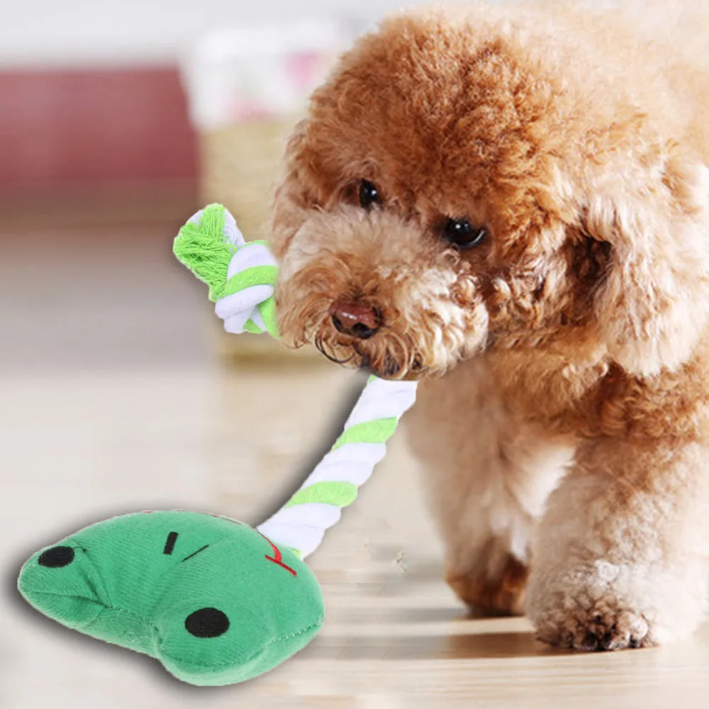 Dog Toys Animal Catnip Plush Toy Interactive Chew Toys for Puppy Dogs Cats Teeth Clean Chase Throw Training Playing With Bell
Dog Toys Animal Catnip Plush Toy Interactive Chew Toys for Puppy Dogs Cats Teeth Clean Chase Throw Training Playing With Bell