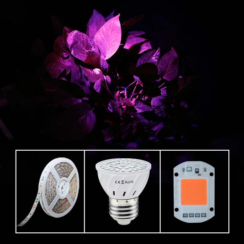 Full Spectrum LED Grow Light Bulb E27 Strip COB Chip Red Blue Fitolamp Phyto Lamps for Indooe Plants Seedings Flowers Growing
Full Spectrum LED Grow Light Bulb E27 Strip COB Chip Red Blue Fitolamp Phyto Lamps for Indooe Plants Seedings Flowers Growing