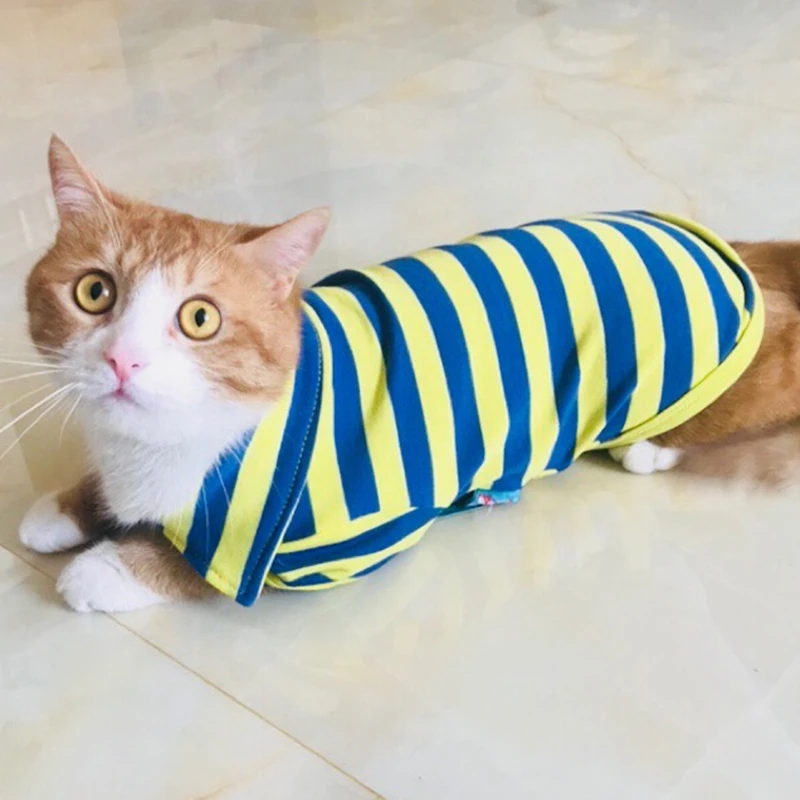 Spring Summer Pet Cat T-shirt Stripe Soft Cat Clothes for Cats Product for Pets Aniamls Puppy Kedi Clothing Suit Mascoats Outfit
Spring Summer Pet Cat T-shirt Stripe Soft Cat Clothes for Cats Product for Pets Aniamls Puppy Kedi Clothing Suit Mascoats Outfit