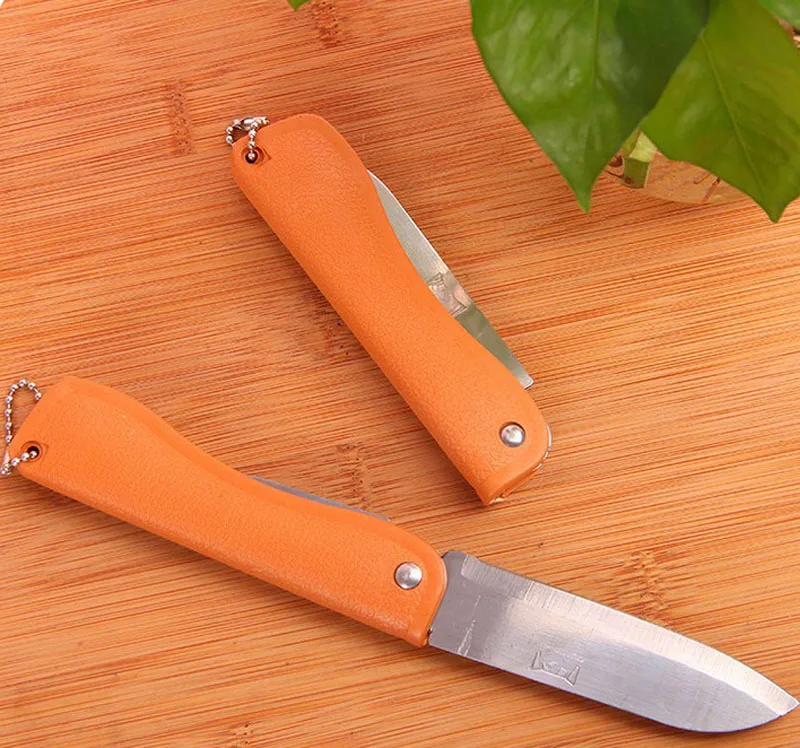 Fold Kitchen Knife Fruit Pare Peel Peeler Vegetable Multi Multifunction Multipurpose Tool Pocket Keychain Can Bottle Opener
Fold Kitchen Knife Fruit Pare Peel Peeler Vegetable Multi Multifunction Multipurpose Tool Pocket Keychain Can Bottle Opener
