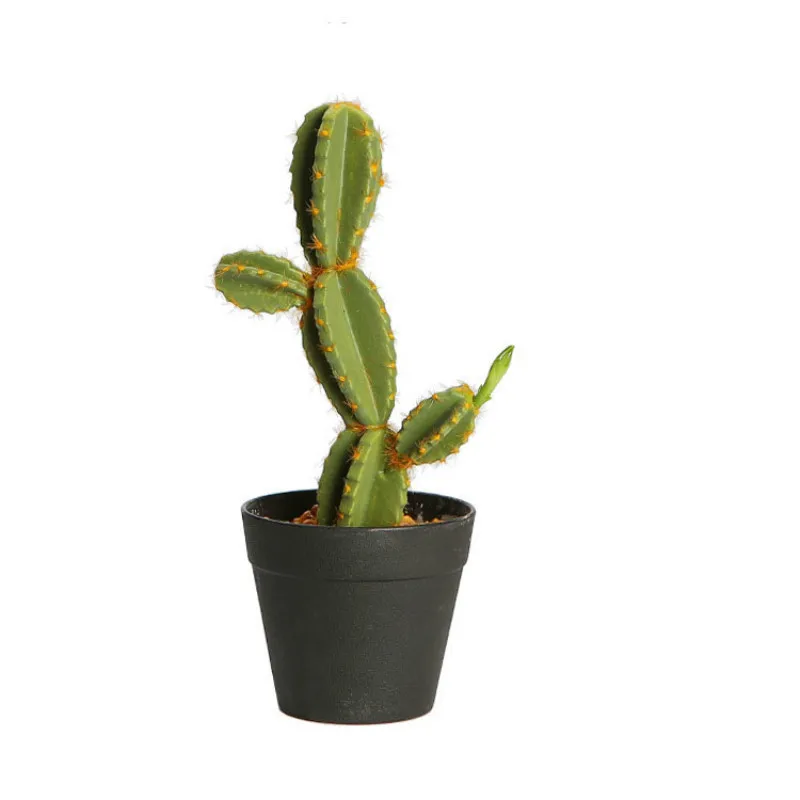 Artificial Fairy Column Bonsai Simulation Cactus Prickly Pear and Other Tropical Desert Plants Bonsai
Artificial Fairy Column Bonsai Simulation Cactus Prickly Pear and Other Tropical Desert Plants Bonsai