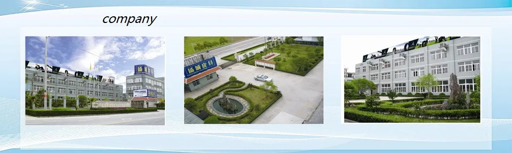 company building-2