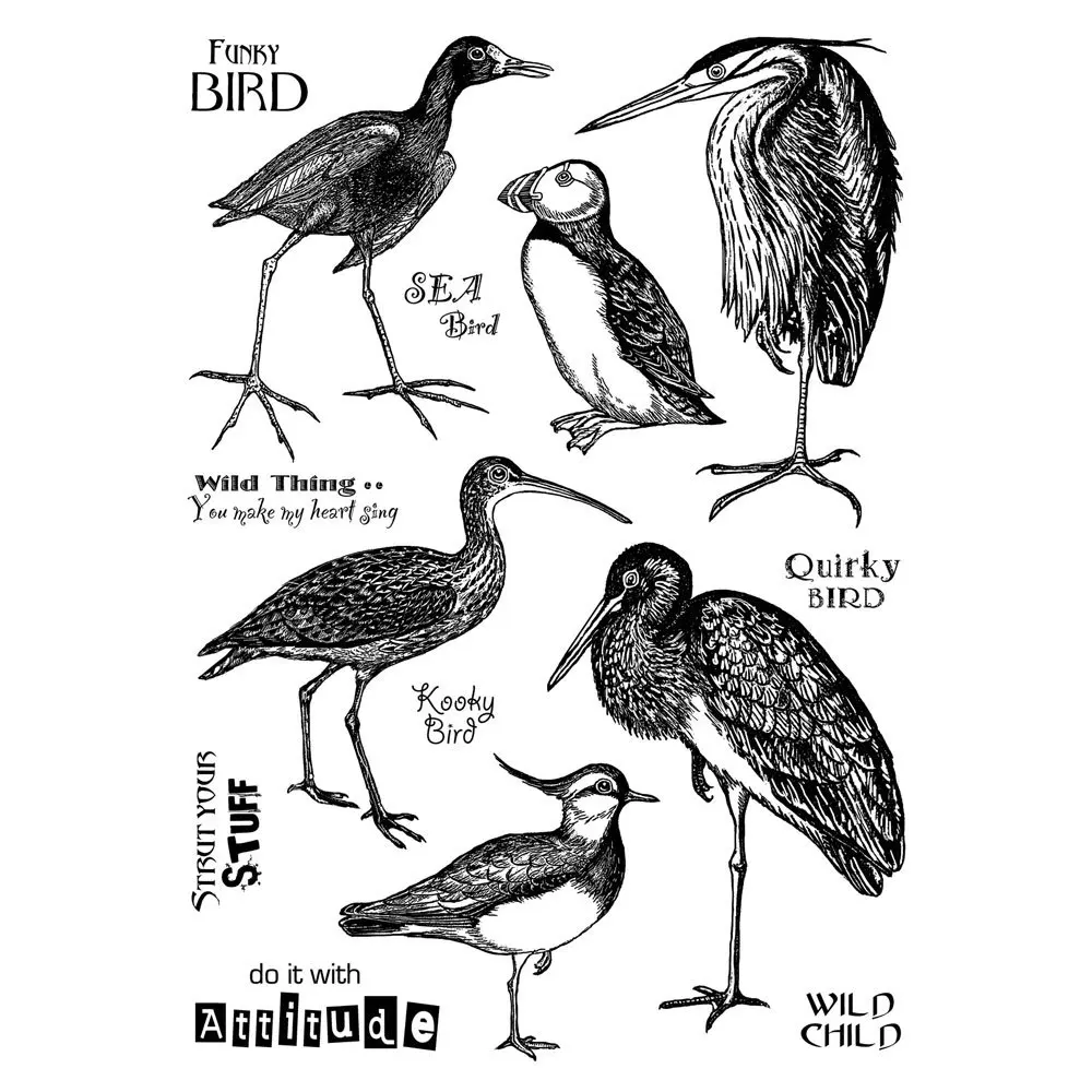 Quirky bird Transparent Clear Silicone Stamp/Seal for DIY scrapbooking/photo album Decorative clear stamp B01
Quirky bird Transparent Clear Silicone Stamp/Seal for DIY scrapbooking/photo album Decorative clear stamp B01