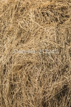 Art Fabric Photography Backdrop haystack Custom Photo Prop backgrounds 5ftX7ft D-1853
Art Fabric Photography Backdrop haystack Custom Photo Prop backgrounds 5ftX7ft D-1853