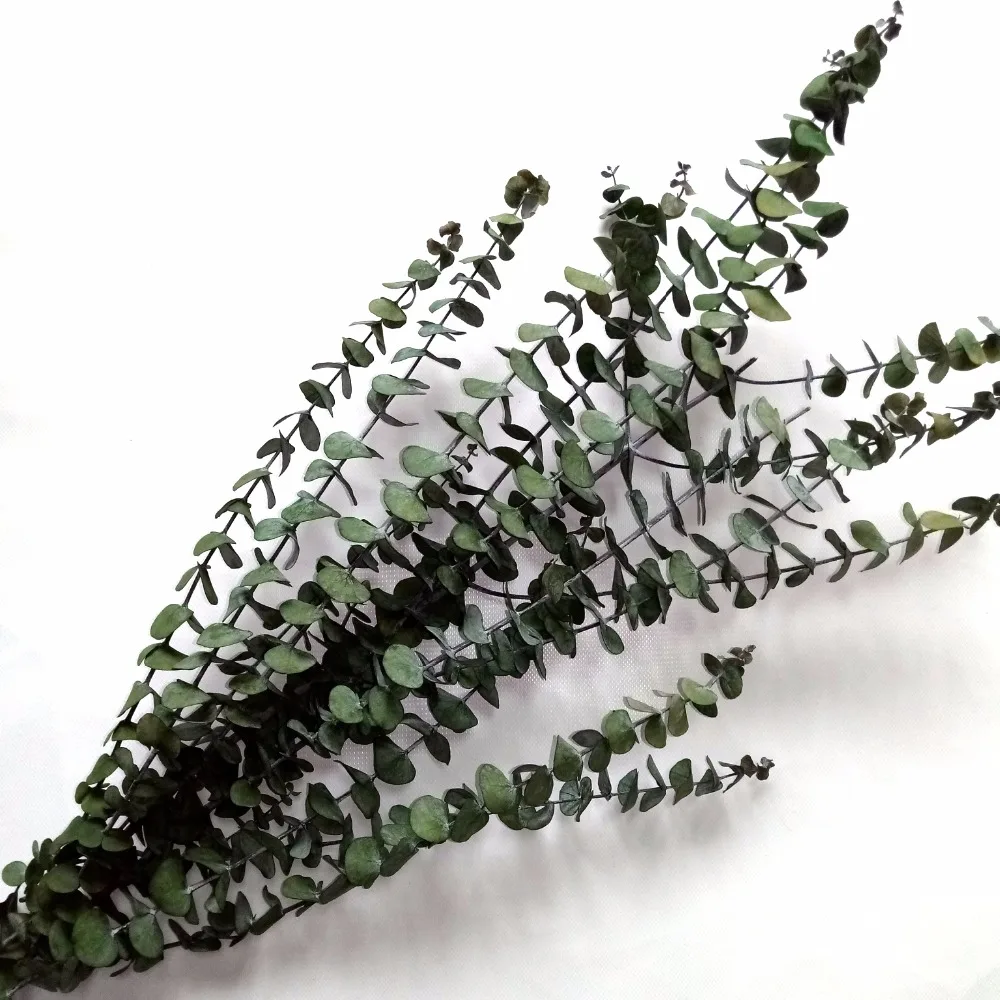 Preserved Frosted Natural Eucalyptus Leaves Branch Green Flower Bouquet for Home Decor
Preserved Frosted Natural Eucalyptus Leaves Branch Green Flower Bouquet for Home Decor